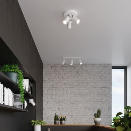 Spotlight RING 3xGU10/10W/230V vit