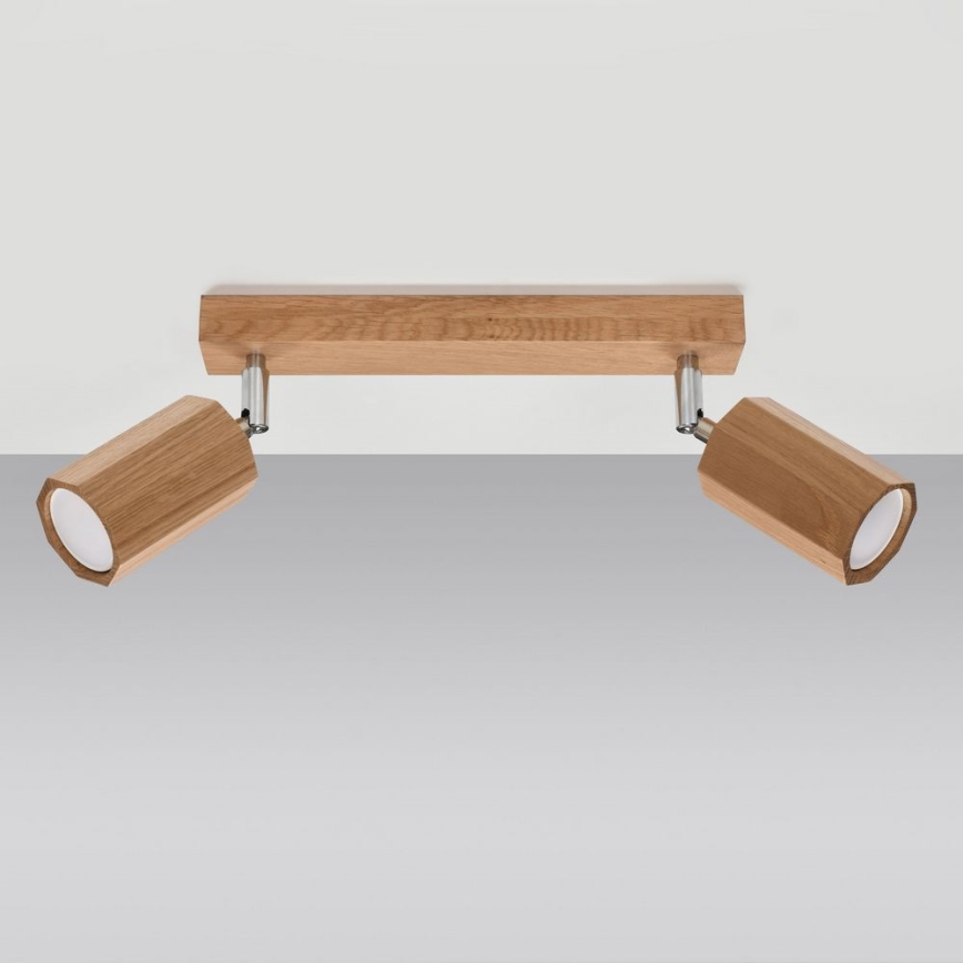 Spotlight  ZEKE 2xGU10/40W/230V ek