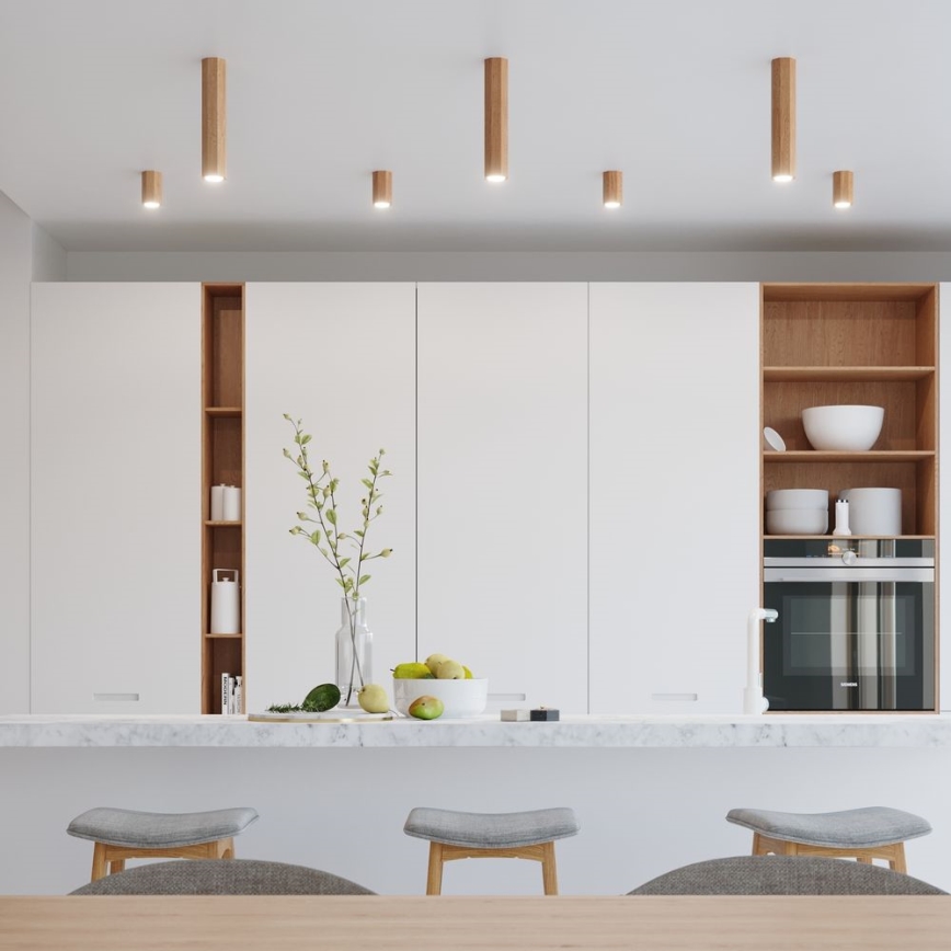 Spotlight  ZEKE 1xGU10/40W/230V 10 cm ek