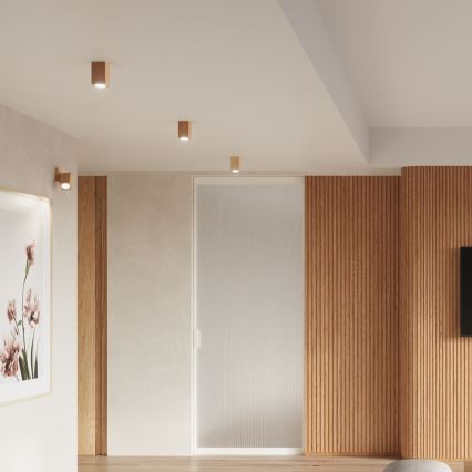 Spotlight  KEKE 1xGU10/40W/230V 10 cm ek