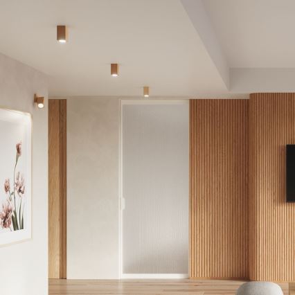 Spotlight  KEKE 1xGU10/40W/230V 30 cm ek