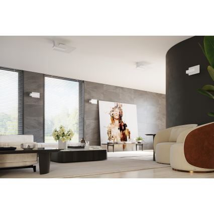 Taklampa LAPPO 2xE27/15W/230V vit