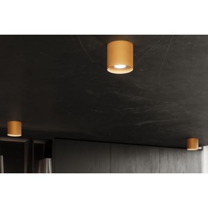 Spotlight MIKA 1xGU10/10W/230V guld