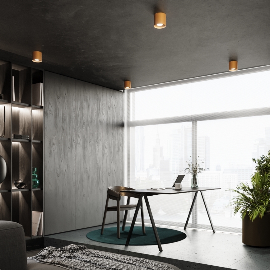 Spotlight MIKA 1xGU10/10W/230V guld