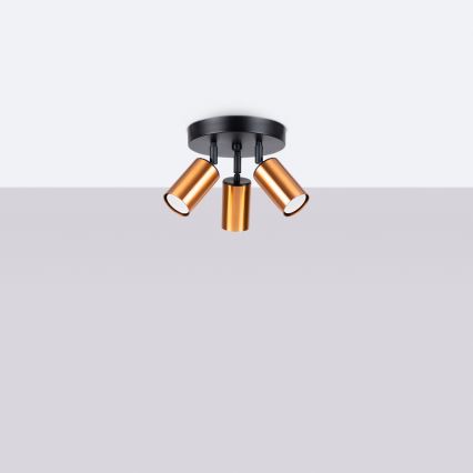 Spotlight WINX 3xGU10/10W/230V svart/koppar