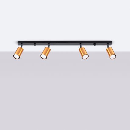 Spotlight WINX 4xGU10/10W/230V svart/koppar