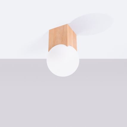 Spotlight SOLIS 1xG9/8W/230V bok