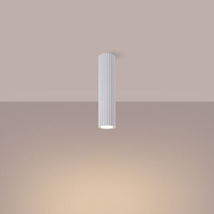 Spotlight KARBON 1xGU10/10W/230V 30 cm vit