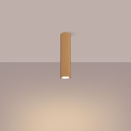 Spotlight KARBON 1xGU10/10W/230V 30 cm guld