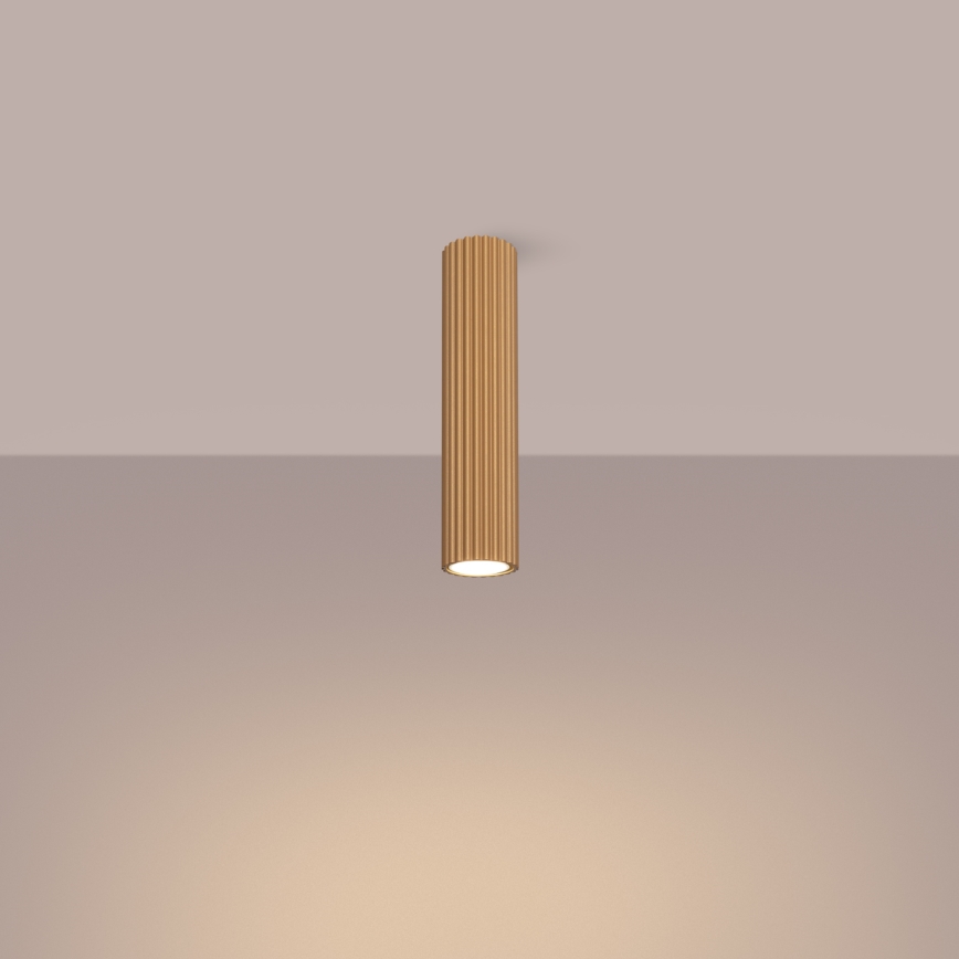 Spotlight KARBON 1xGU10/10W/230V 30 cm guld