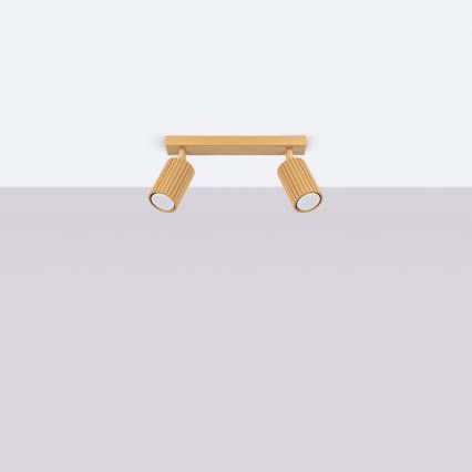 Spotlight KARBON 2xGU10/10W/230V guld