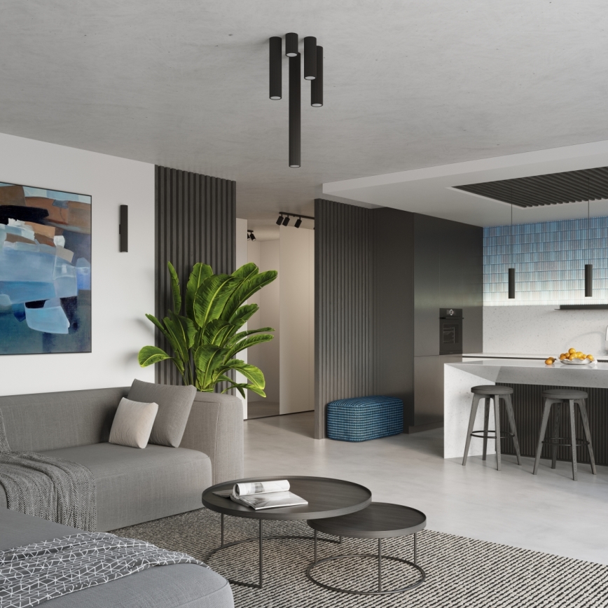 Spotlight KARBON 1xGU10/10W/230V 60 cm svart