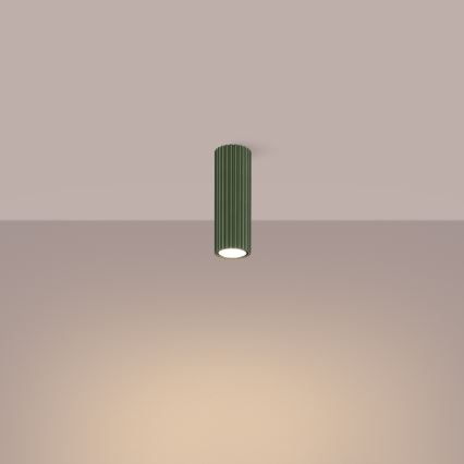 Spotlight KARBON 1xGU10/10W/230V 20 cm grön