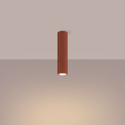 Spotlight KARBON 1xGU10/10W/230V 30 cm röd