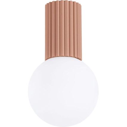 Badrum takbelysning HALO 1xG9/8W/230V diameter 12 cm IP44 brun
