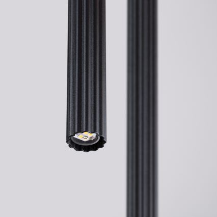 Pendellampa med kabel ARCHE, 2 x G9, 8 W, 230 V, svart