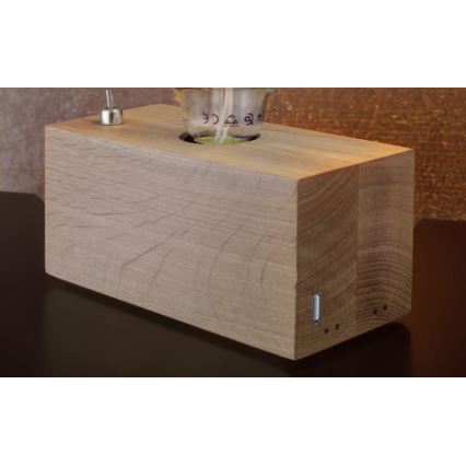 Bordslampa THEO 1xE27/25W/230V björk