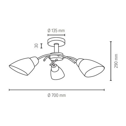 Takmonterad taklampa VILETTA 3xE27/60W/230V ek