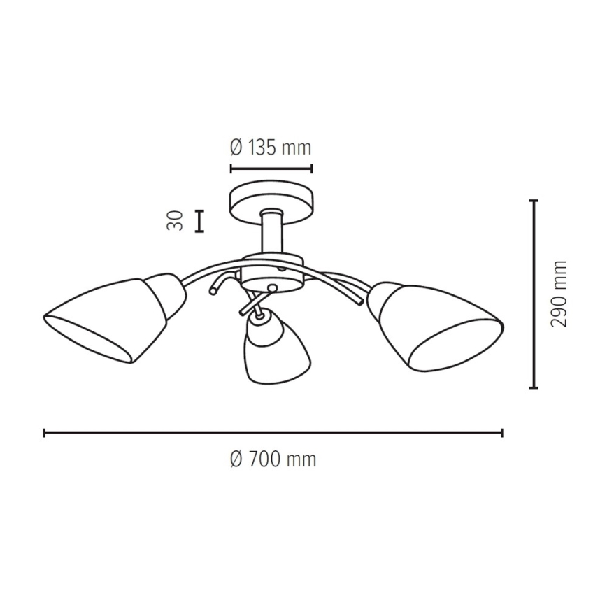 Takmonterad taklampa VILETTA 3xE27/60W/230V ek