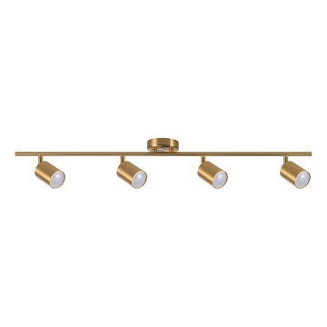 Spotarmatur GOLDIE 4xGU10/10W/230V guld