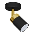 Spotarmatur JOKER 1xGU10/25W/230V svart/guld