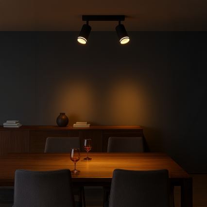 Spotarmatur PIPE 2xGU10/10W/230V svart