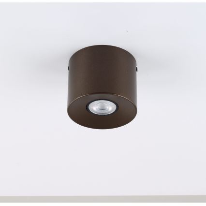 Spotlampa ORION 1xGU10/10W/230V 9 cm brun