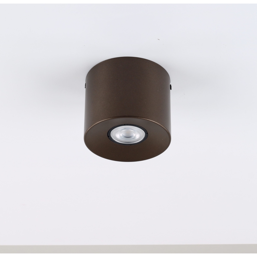 Spotlampa ORION 1xGU10/10W/230V 9 cm brun