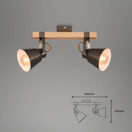 Spotlampa RETRO 2xE27/40W/230V brun