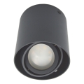 Spotlampa SIROK 1xGU10/30W/230V antracit