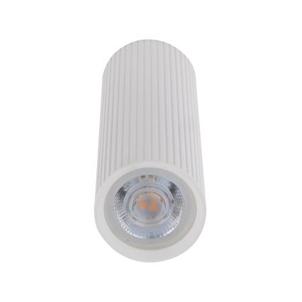 Spotlampa TUNE M 1xGU10/10W/230V 17 cm vit