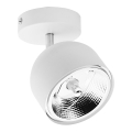 Spotlight ALTEA 1xAR111 GU10/50W/230V vit
