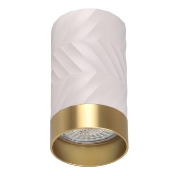 Spotlight ARRAS 1xGU10/10W/230V vit