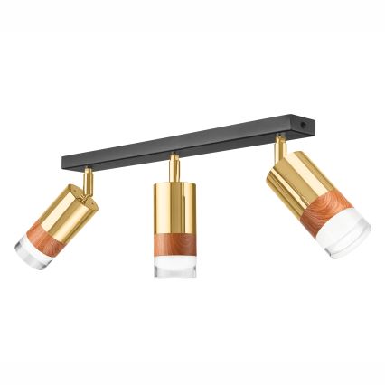 Spotlight AURORA 3xGU10/10W/230V