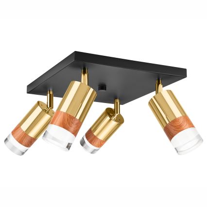 Spotlight AURORA 4xGU10/10W/230V