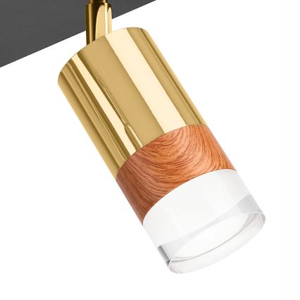 Spotlight AURORA 4xGU10/10W/230V