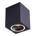 Spotlight  BIMA 1xGU10/25W/230V fyrkant  svart 