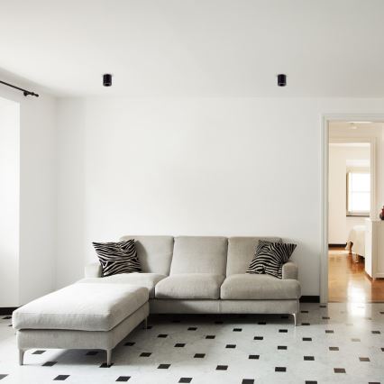 Spotlight  BIMA 1xGU10/25W/230V rund  svart 