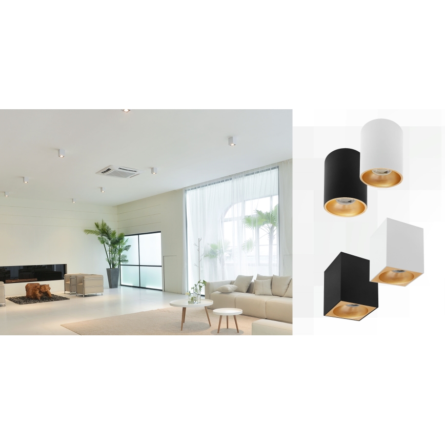 Spotlight CHLOE 1xGU10/50W/230V fyrkantig vit