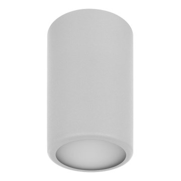 Spotlight CLEO 1xE27/24W/230V grå