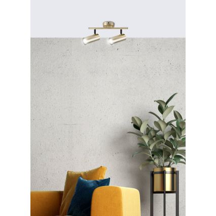 Spotlight COLLY 2xGU10/15W/230V guld