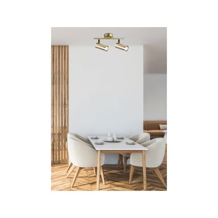 Spotlight COLLY 2xGU10/15W/230V guld