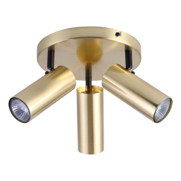 Spotlight COLLY 3xGU10/15W/230V guld