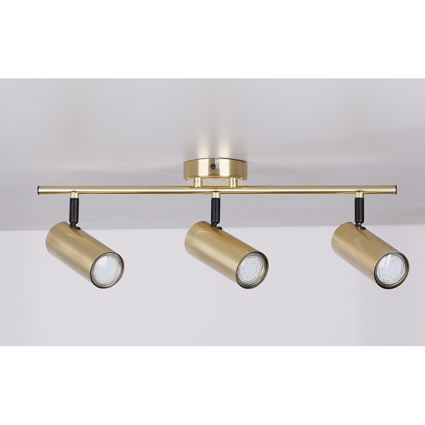 Spotlight COLLY 3xGU10/15W/230V guld