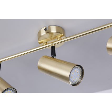 Spotlight COLLY 3xGU10/15W/230V guld