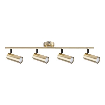 Spotlight COLLY 4xGU10/15W/230V guld