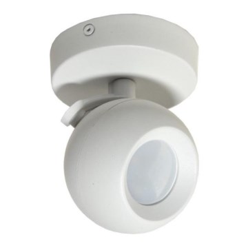 Spotlight COLM 1xGU10/30W/230V vit