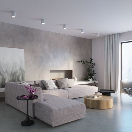 Spotlight CULLO 1xGU10/ES111/40W/230V