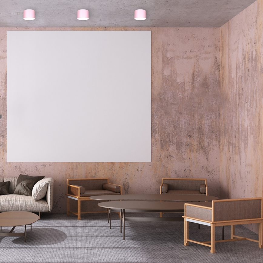 Spotlight  DIXIE 1xGX53/11W/230V rosa 