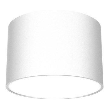 Spotlight  DIXIE 1xGX53/11W/230V vit 